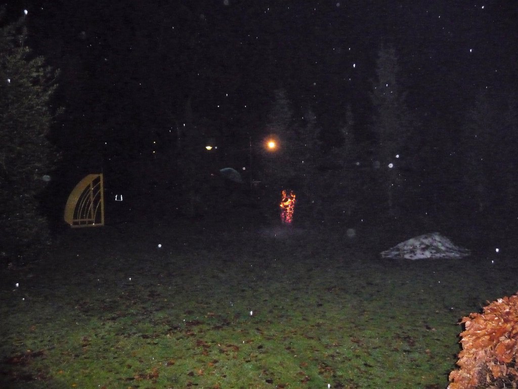 OpeningKerststal17 (3)